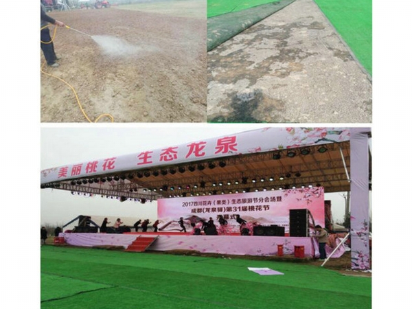 四川龍泉驛某觀光場(chǎng)地草坪固化
